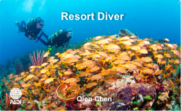 12/12正式上線！PADI 最新課程【休閑潛水員Resort Diver】 丨 一天拿證，潛遍全球