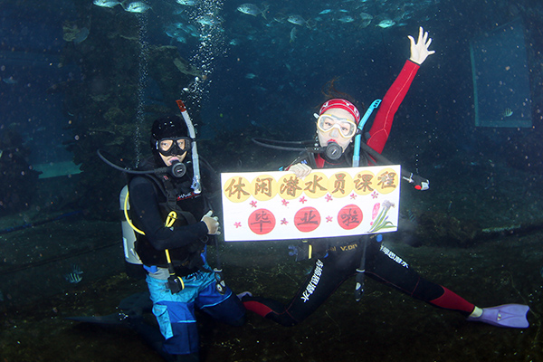 12/12正式上線！PADI 最新課程【休閑潛水員Resort Diver】 丨 一天拿證，潛遍全球