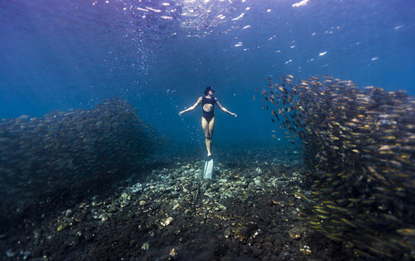 澳女子與魚群同游似美人魚